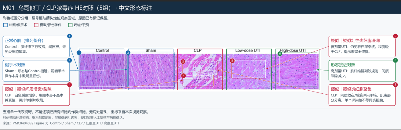 智能体先标，专家再校准，标注有依据